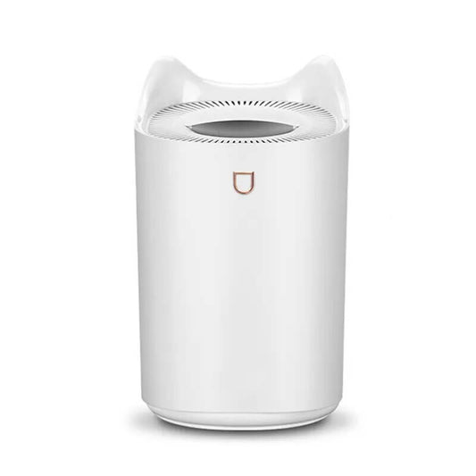 Portable Humidifier for Yoga